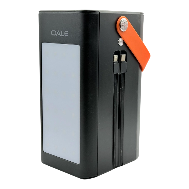 پاور بانک 100000 OALE مدل p100000